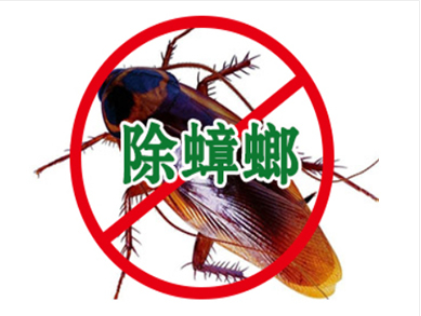 乌鲁木齐除蟑螂