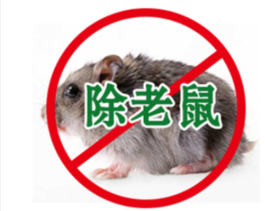 乌鲁木齐灭老鼠