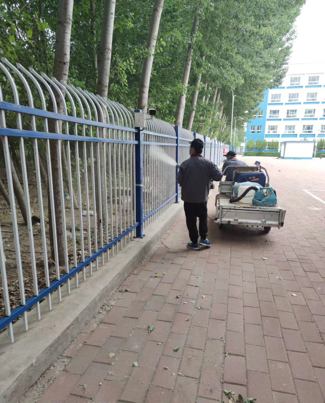 乌鲁木齐树木打药喷药