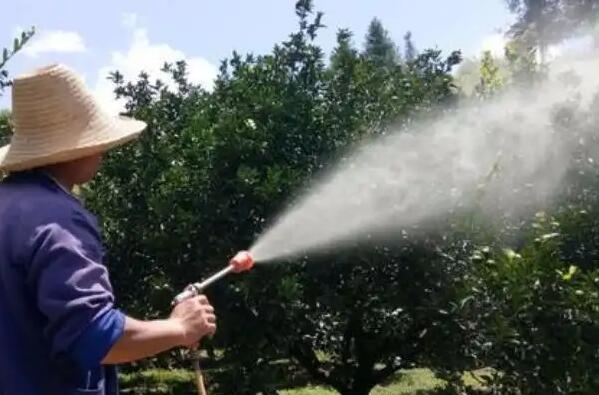 乌鲁木齐树木打药喷药